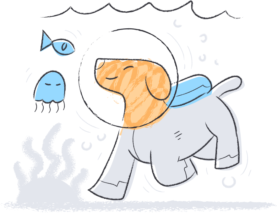 Exceptional Visitor Follow-Up