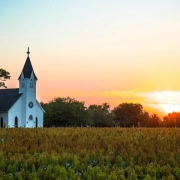 5 Key Metrics Every Kenyan Church Should Track for Sustainable Growth in 2025